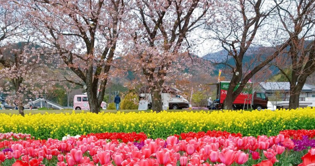 秦野戸川公園